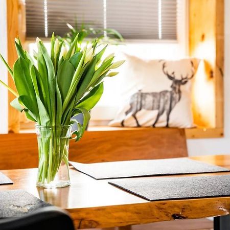 Neu Renoviertes Ferienhaus/Wohnunng Kleine Auszeit Sonnenbühl Esterno foto